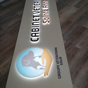 Test-Lumieres-Cabinet-veterinaire-.jpg